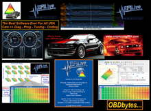 Carica l'immagine nel visualizzatore di Gallery, EFILive Software FULL and (Unlocked) V8.3.44 + CTZ to BIN Converter - OBDbytes for Car Chip Tuning