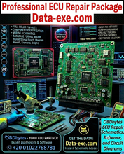 Load image into Gallery viewer, ECU REPAIR FULL DATA (Professional Package) - OBDbytes for Car Chip Tuning