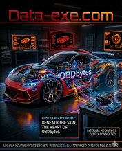 Load image into Gallery viewer, ECU REPAIR FULL DATA (Professional Package) - OBDbytes for Car Chip Tuning
