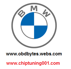 Das BMW-Paket enthält BMW-Module, Codierungssoftware, PDF-Handbücher und Videos, Werkstatthandbücher für BMW-Selbststudienkurse und einen ECU-EWS-CAS-DME-DDE-Editor