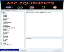 Load image into Gallery viewer, Car chip tuning software ODO-IMMO OFF-ECU Tuning-SRS-EGR DPF DTC removers
